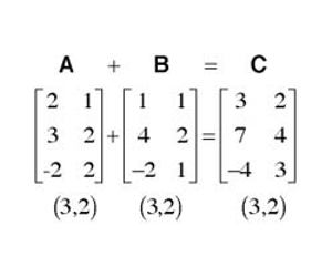 Study: Some are born with math ability