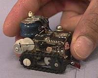 Remote Control Insects