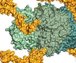New treatment could combat deadly chemical agents
