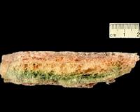 Earth's climate more sensitive to CO2 than previously thought