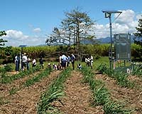 Adapting Agriculture To Climate Change