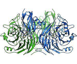 How the N2O Greenhouse Gas Is Decomposed
