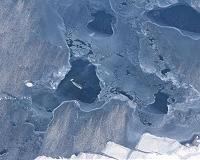 Narwhal echolocation beams may be the most directional of any species