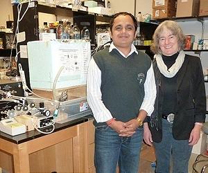 Common Nanoparticles Found To Be Highly Toxic To Arctic Ecosystem