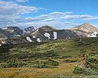 Warming could slow upslope migration of trees