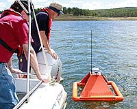 Drinking Water Watched By Queensland's Seventh Sense