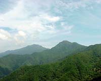 South Korean Court Rejects Bid To Save Wetlands
