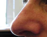 Analysis: DHS will use odor as biometric