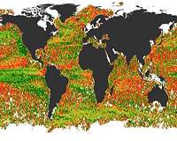 The forces that affect species' movements in a changing climate