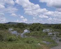 Cholera hotspots found at Uganda's borders and lakes
