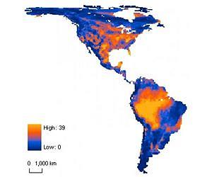Nearly one-tenth of hemisphere's mammals unlikely to outrun climate change