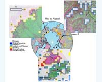 Photosynthetic Trends In Northern Circumpolar High Latitudes