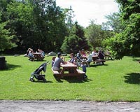 France to create 'picnic tax' on pollution