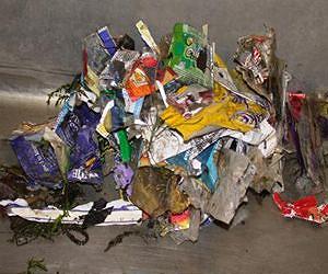 Scientists uncover hidden river of rubbish threatening to devastate wildlife