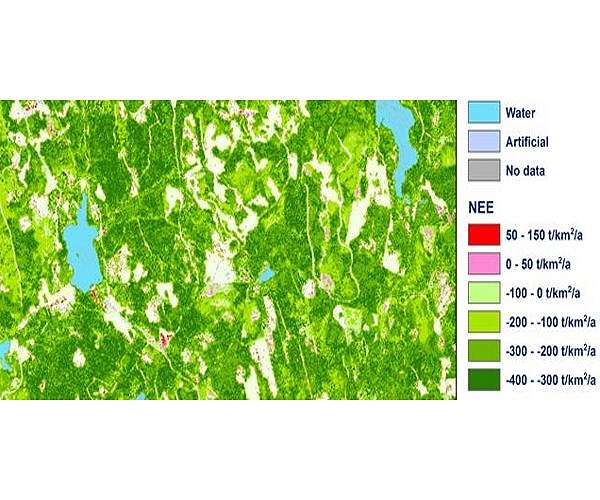 Million-tree mission hopes to fix reforestation flaws