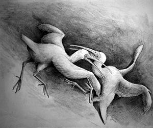 Prehistoric Bird Used Club-Like Wings As Weapon