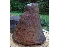 Mystery Of Fossilized Trees Is Solved