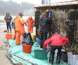 Floating dock from Japan carries potential invasive species