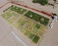 Tailored water the latest in lawn care