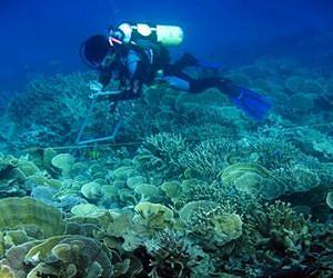 MBL scientists find 'bipolar' marine bacteria, refuting 'everything is everywhere' idea