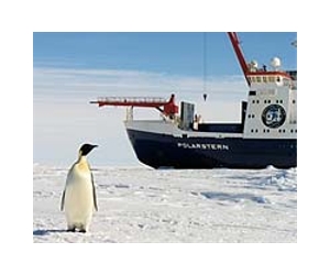 Oceanographers Call For More Ocean-Observing In Antarctica