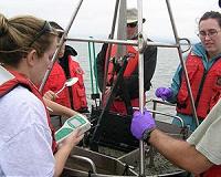 Study shows new potential indirect effects of humans on water quality