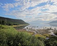 Poison in the Arctic and the human cost of 'clean' energy