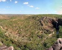 Fossils reveal ancient shrublands in fiery landscape