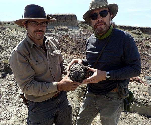 Dinosaurs' last spring: Study pinpoints timing of Chicxulub asteroid impact