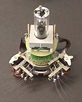 Are Robots The Answer To Immigration