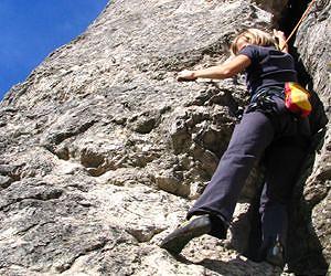 Climbers leave rare plants' genetic variation on the rocks