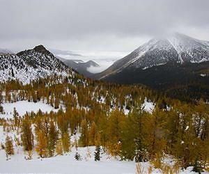 Warmer springs causing loss of snow cover throughout the Rocky Mountains