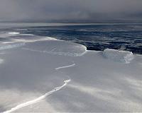 What is Happening with Antarctic Sea Ice
