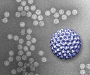 A nanoscale window to the biological world