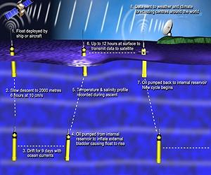 Ocean Salinities Show An Intensified Water Cycle