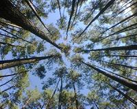 Finding winners and losers in global land use