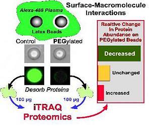 Proteomic analysis of immuno camouflaged surfaces