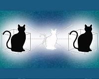 Doubling down on Schrodinger's cat