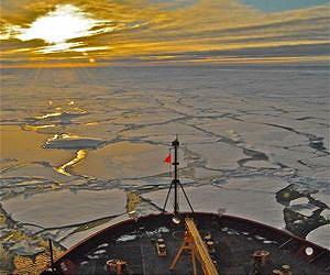 Unprecedented rate and scale of ocean acidification found in the Arctic