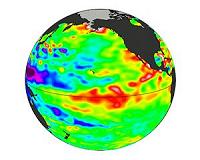 Details on the November ENSO forecast: slip-slidin' away?