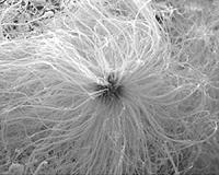 Nanoparticles from dietary supplement drinks likely to reach environment