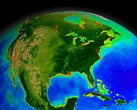 The green lungs of our planet are changing