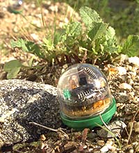 NASA Explores Small Sensor Network Technology For Future Planetary Missions