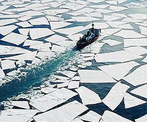 Stowaways threaten fisheries in the Arctic