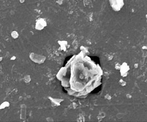 One Room - 63 Different Dust Particles - Researchers Aim To Build Dust Library