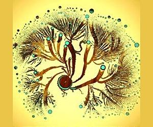 The Genius Of Bacteria