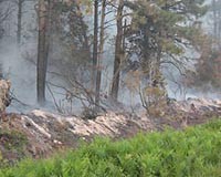 Peat fires - a legacy of carbon up in smoke