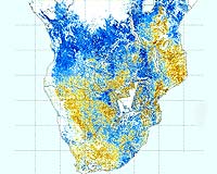 Southern Africa's freshwater species in peril: watchdog