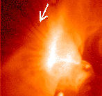 Capturing Solar Magnetic Fields Snap Backs