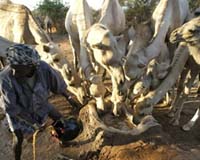 War Ravaged Somalia In Conflict With Severe Drought